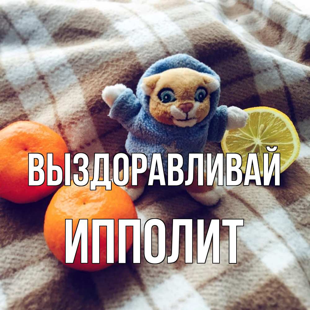 Открытка на каждый день с именем, Ипполит Выздоравливай вот тебе апельсинка и лимон Прикольная открытка с пожеланием онлайн скачать бесплатно 
