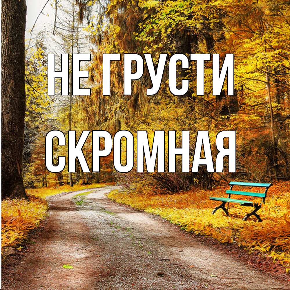 Открытка на каждый день с именем, скромная Не грусти зеленая лавочка Прикольная открытка с пожеланием онлайн скачать бесплатно 