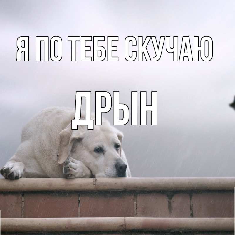 Картинка Я по тебе скучаю, Дрын