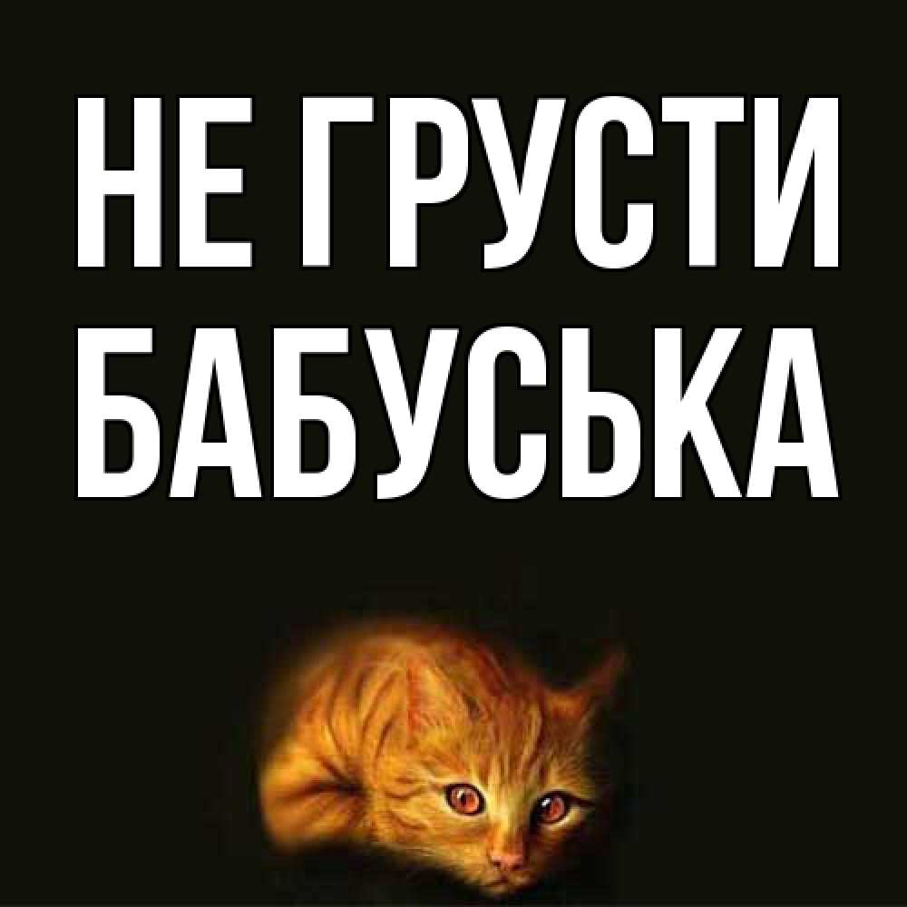 Открытка на каждый день с именем, Бабуська Не грусти лежащий кот в темноте Прикольная открытка с пожеланием онлайн скачать бесплатно 