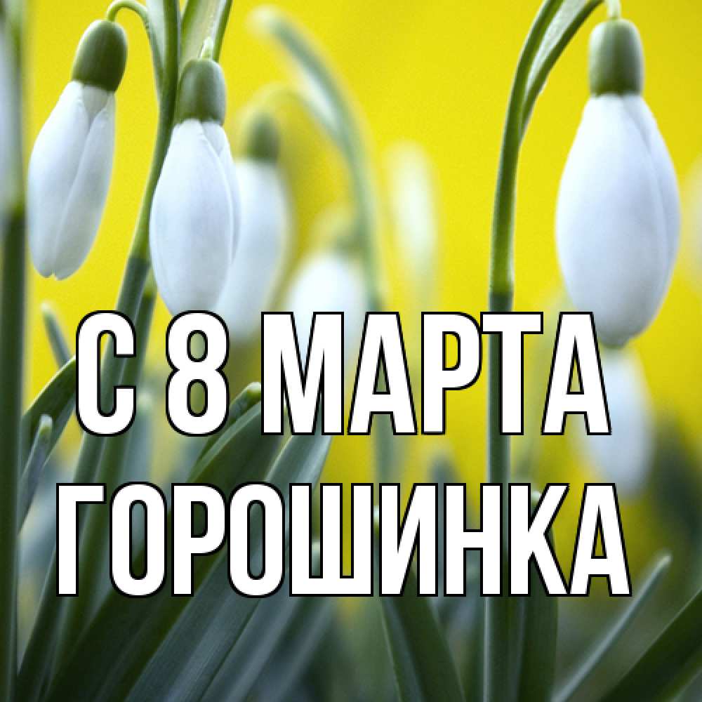 Открытка на каждый день с именем, горошинка C 8 МАРТА весенние цветы Прикольная открытка с пожеланием онлайн скачать бесплатно 