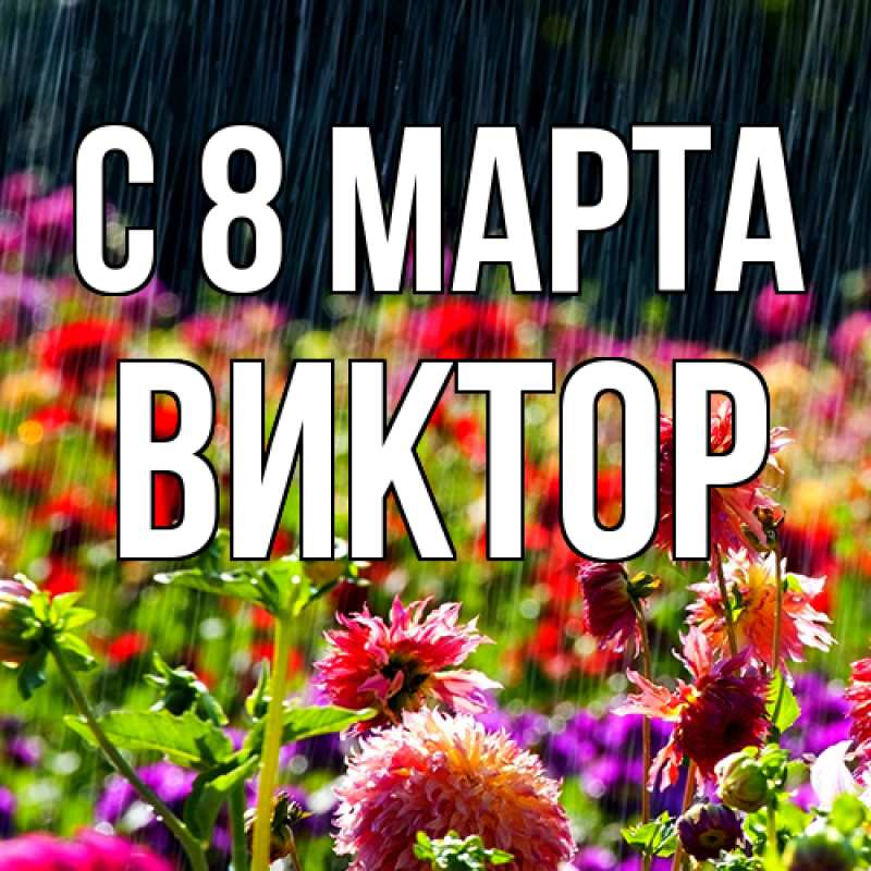 Картинка C 8 МАРТА, Виктор