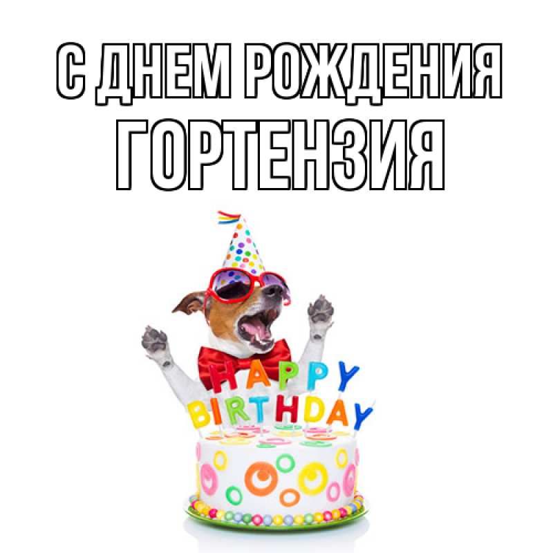 Картинка С днем рождения, Гортензия