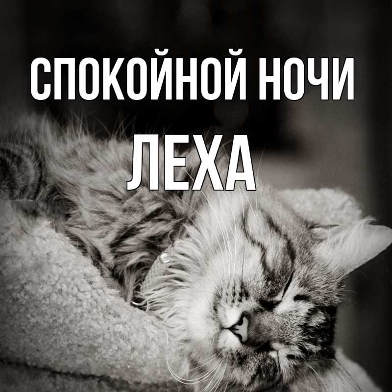 Картинка Спокойной ночи, леха