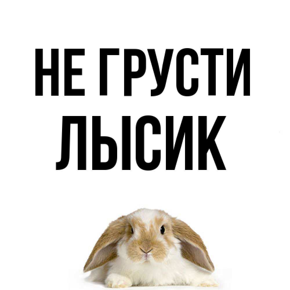 Открытка на каждый день с именем, Лысик Не грусти коричнево белый заяц с большими ушками Прикольная открытка с пожеланием онлайн скачать бесплатно 