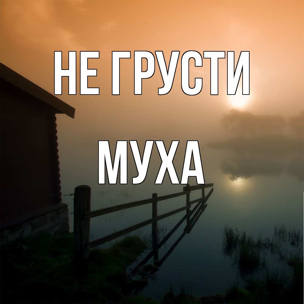 Открытка на каждый день с именем, Муха Не грусти дом у озера Прикольная открытка с пожеланием онлайн скачать бесплатно 