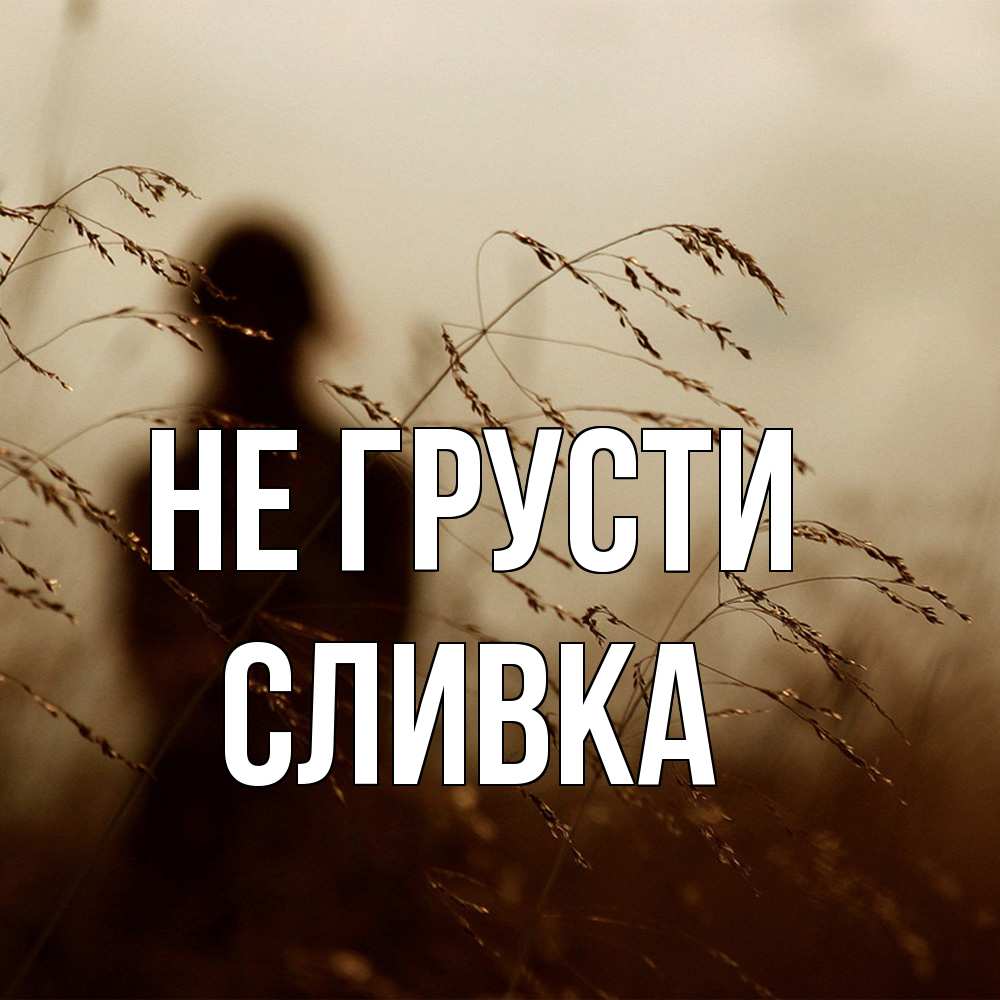 Открытка на каждый день с именем, Сливка Не грусти грусть Прикольная открытка с пожеланием онлайн скачать бесплатно 