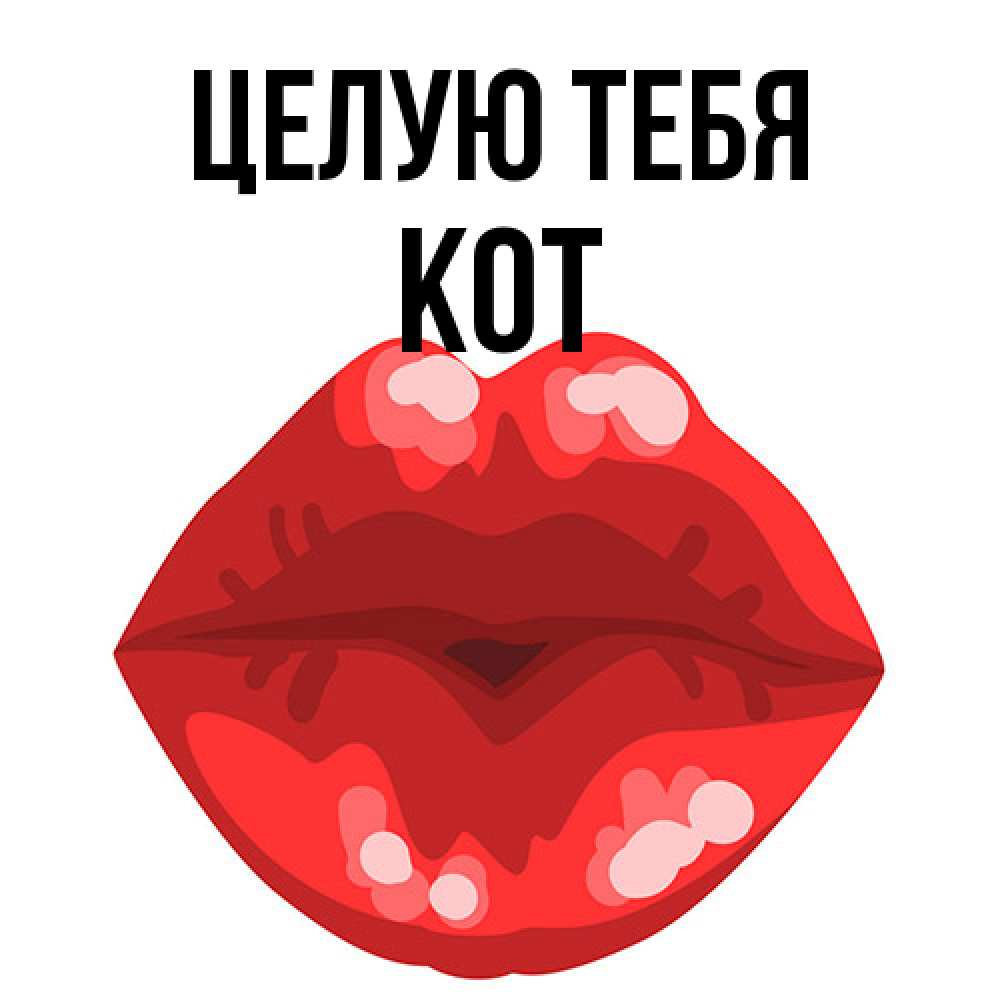 Открытка на каждый день с именем, Кот Целую тебя отправить открытку с поцелуем бесплатно и скачать для парня Прикольная открытка с пожеланием онлайн скачать бесплатно 