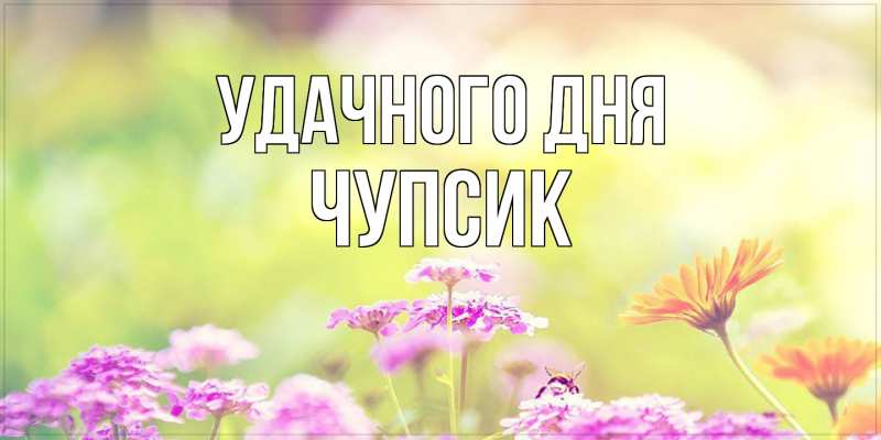 Картинка Удачного дня, Чупсик