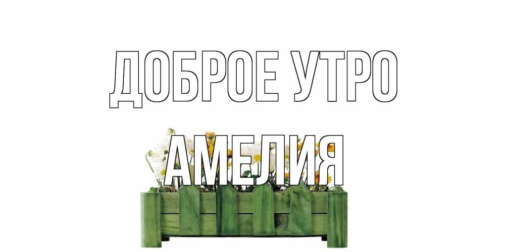 Открытка на каждый день с именем, Амелия Доброе утро цветы Прикольная открытка с пожеланием онлайн скачать бесплатно 