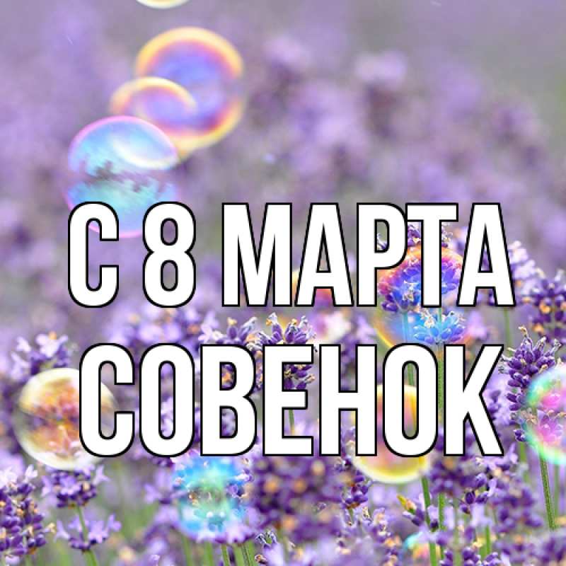 Картинка C 8 МАРТА, совенок