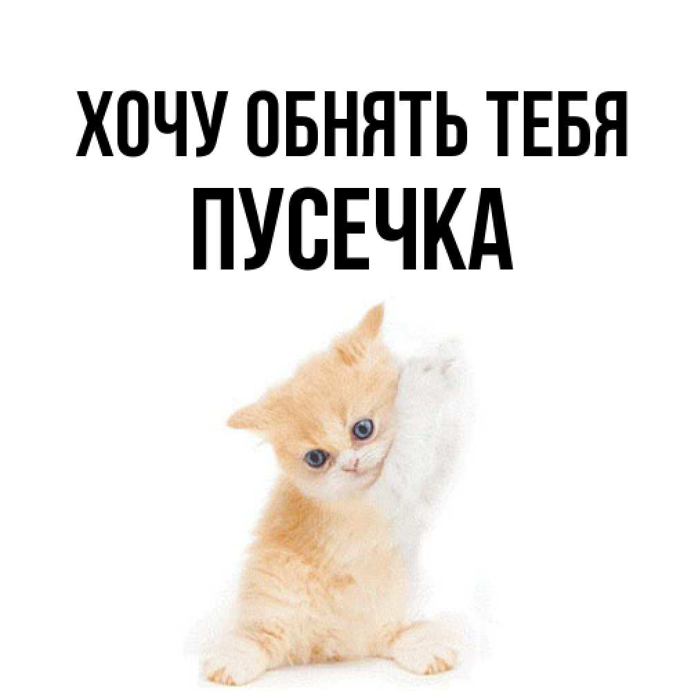 Открытка на каждый день с именем, Пусечка Хочу обнять тебя я хочу очень скорее обнимаешек Прикольная открытка с пожеланием онлайн скачать бесплатно 