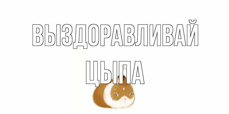 Картинка Выздоравливай, Цыпа