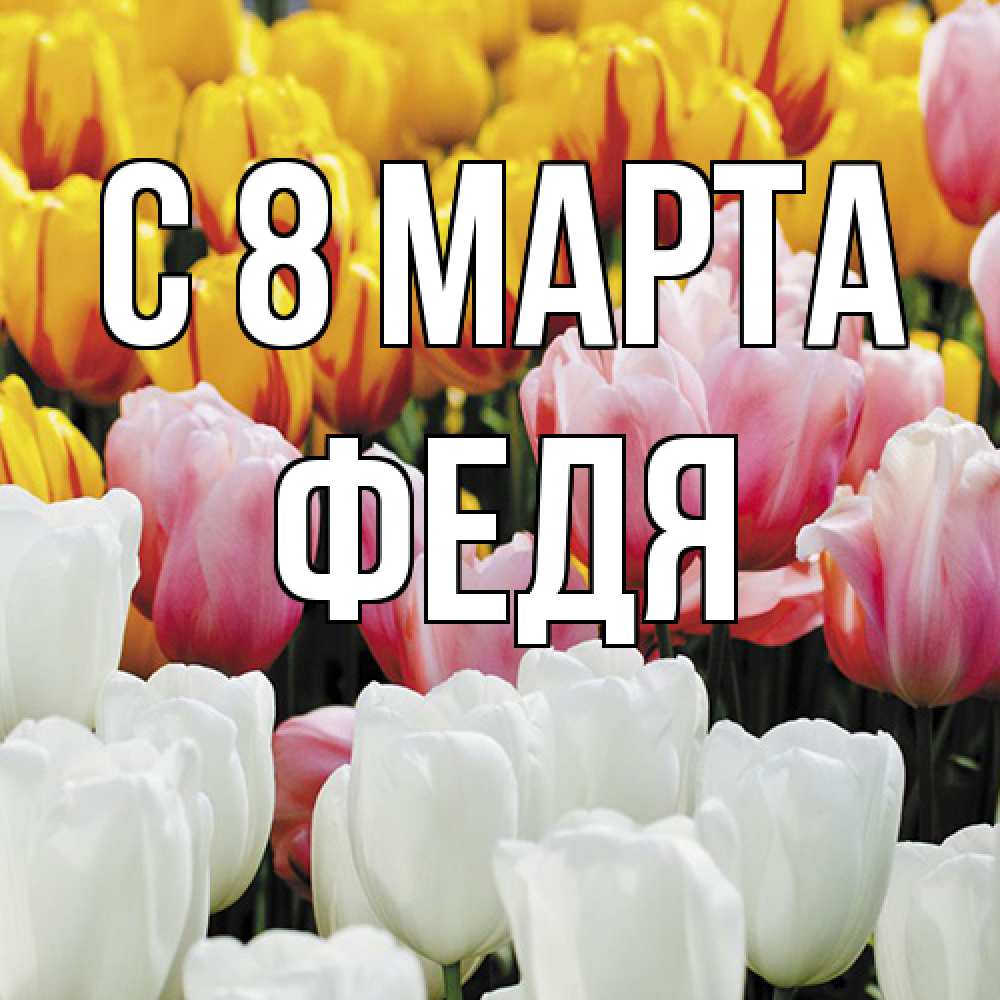 Открытка на каждый день с именем, Федя C 8 МАРТА разноцветные цветы Прикольная открытка с пожеланием онлайн скачать бесплатно 