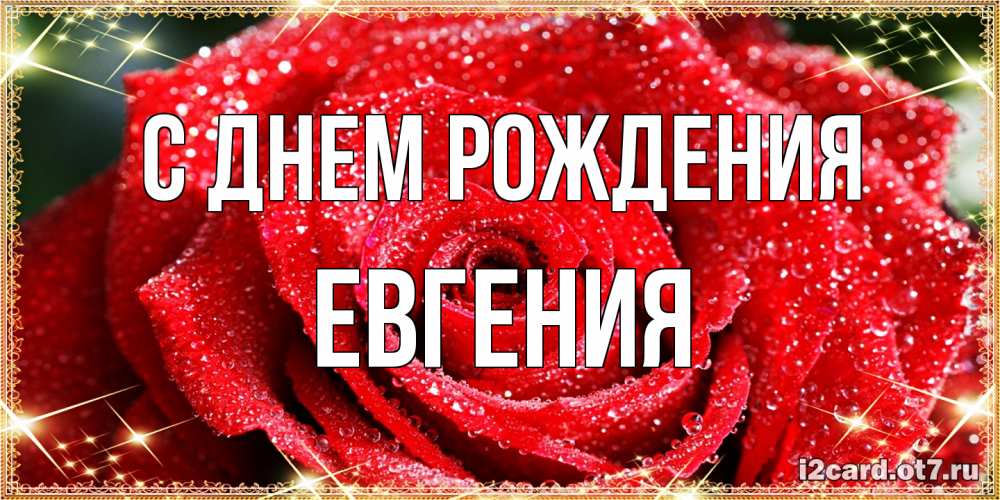 Открытка на каждый день с именем, Евгения С днем рождения роса и роза. открытка с красивой розой Прикольная открытка с пожеланием онлайн скачать бесплатно 
