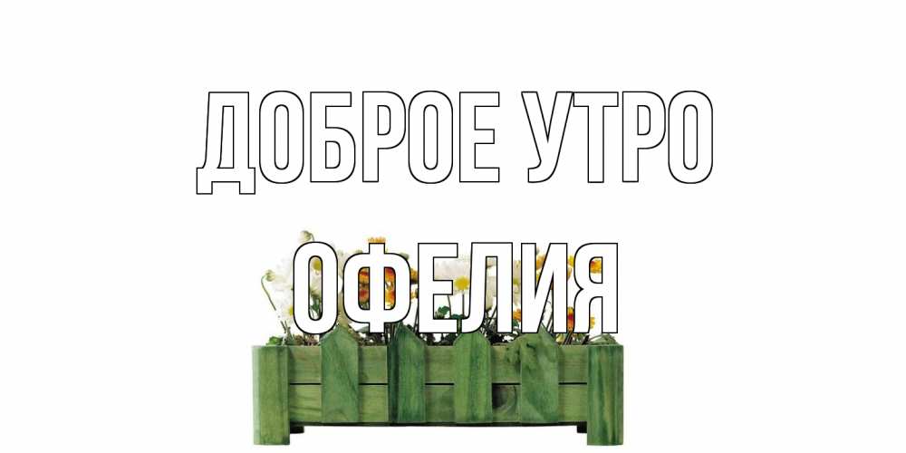 Открытка на каждый день с именем, Офелия Доброе утро цветы Прикольная открытка с пожеланием онлайн скачать бесплатно 