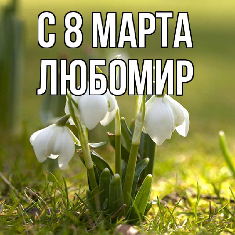 Картинка C 8 МАРТА, Любомир