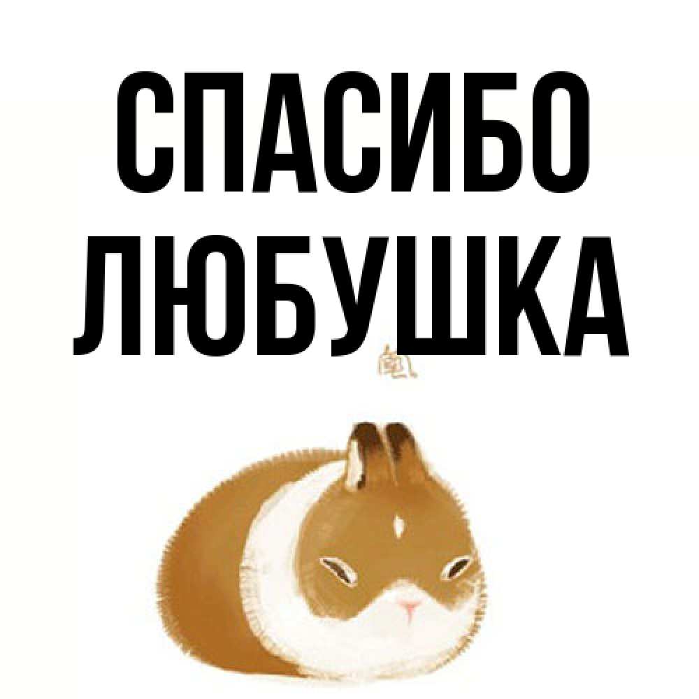 Открытка на каждый день с именем, Любушка Спасибо коричнево белый домашний питомец Прикольная открытка с пожеланием онлайн скачать бесплатно 