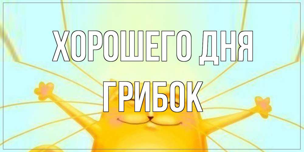 Открытка на каждый день с именем, Грибок Хорошего дня обнимашки Прикольная открытка с пожеланием онлайн скачать бесплатно 