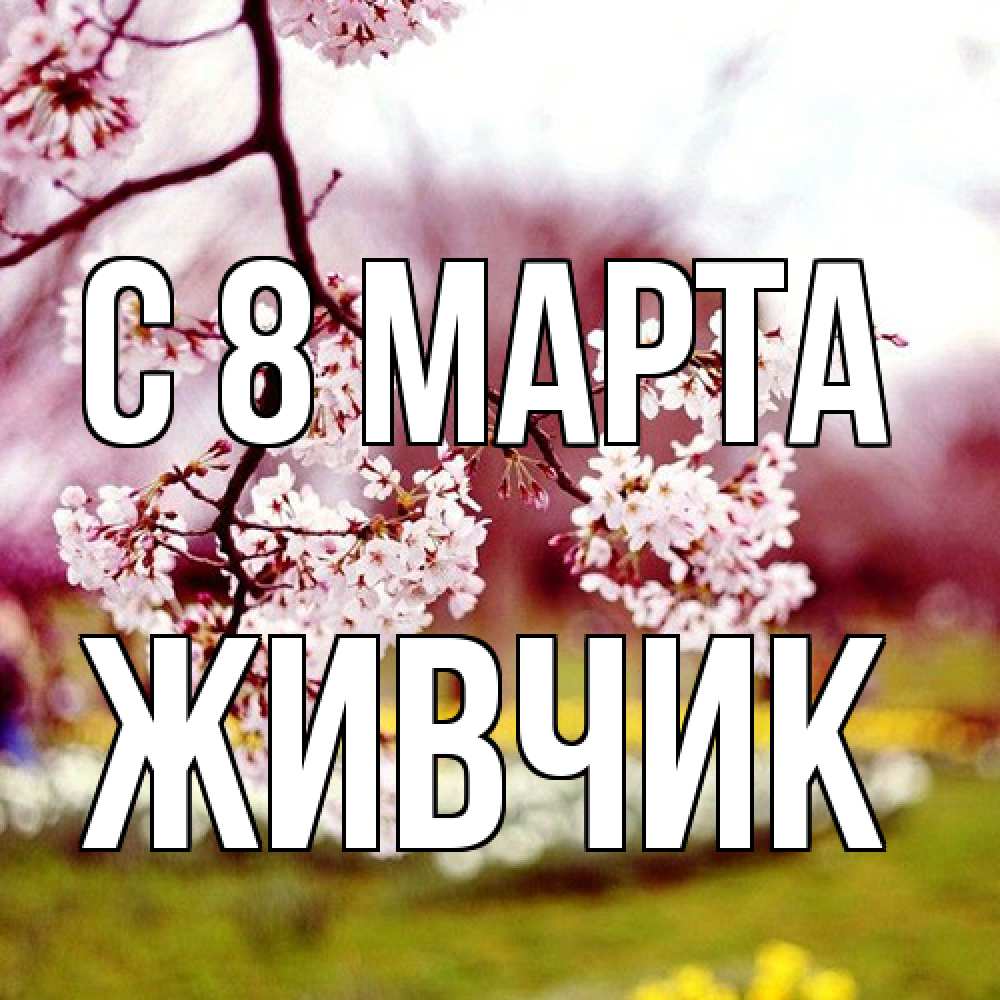 Открытка на каждый день с именем, Живчик C 8 МАРТА яблоня Прикольная открытка с пожеланием онлайн скачать бесплатно 