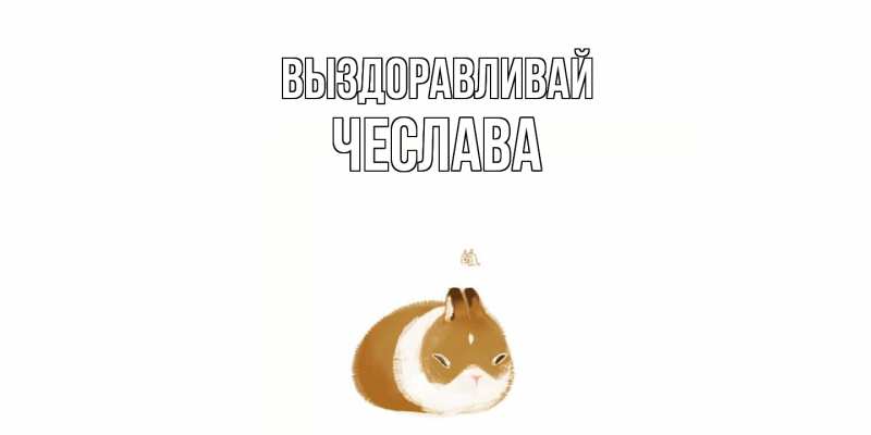 Картинка Выздоравливай, Чеслава