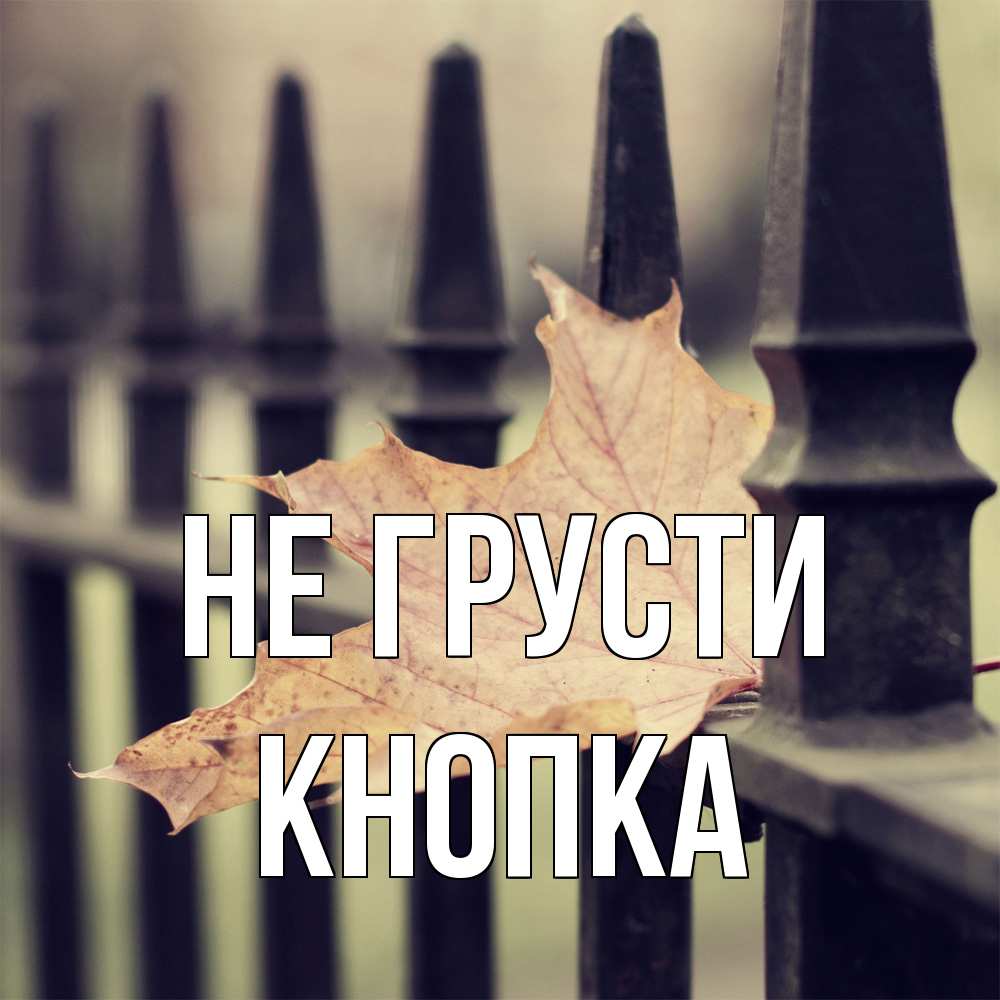 Открытка на каждый день с именем, Кнопка Не грусти лист клена Прикольная открытка с пожеланием онлайн скачать бесплатно 