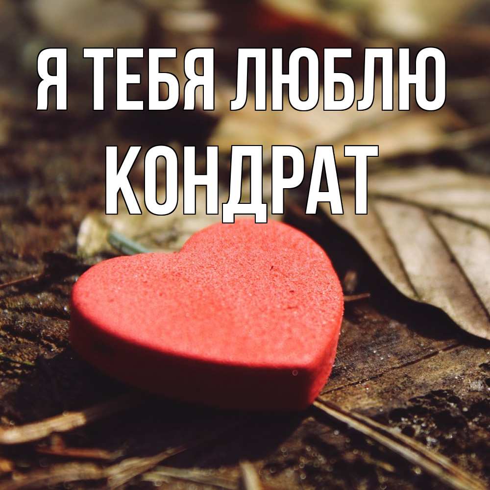 Открытка на каждый день с именем, Кондрат Я тебя люблю листья деревье 4 Прикольная открытка с пожеланием онлайн скачать бесплатно 