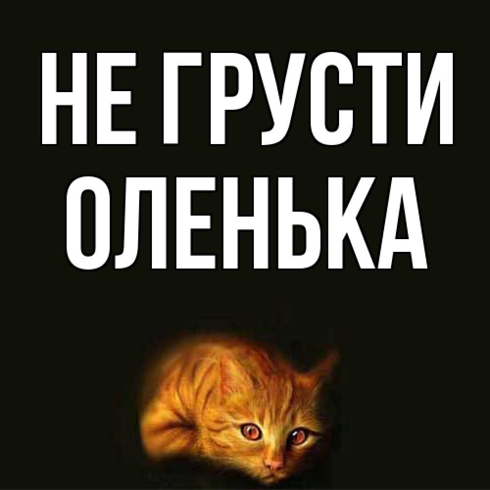 Открытка на каждый день с именем, Оленька Не грусти лежащий кот в темноте Прикольная открытка с пожеланием онлайн скачать бесплатно 
