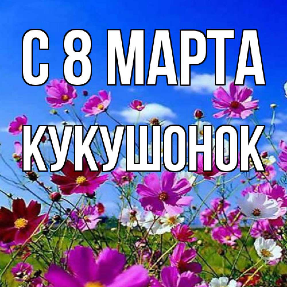 Открытка на каждый день с именем, кукушонок C 8 МАРТА цветы Прикольная открытка с пожеланием онлайн скачать бесплатно 