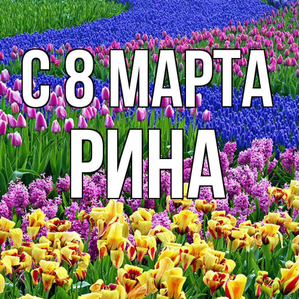 Открытка на каждый день с именем, Рина C 8 МАРТА цветы Прикольная открытка с пожеланием онлайн скачать бесплатно 