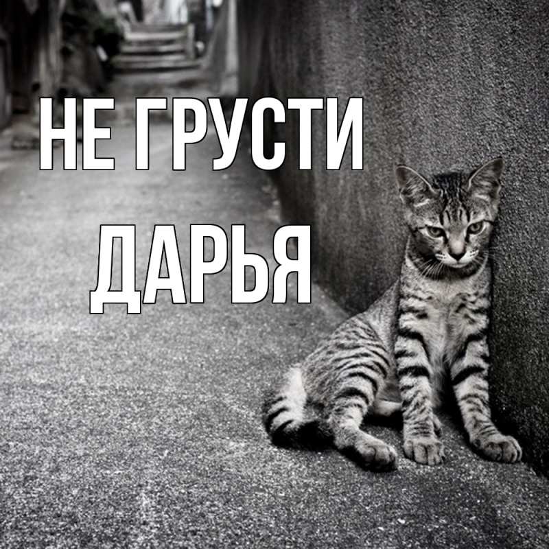 Картинка Не грусти, Дарья