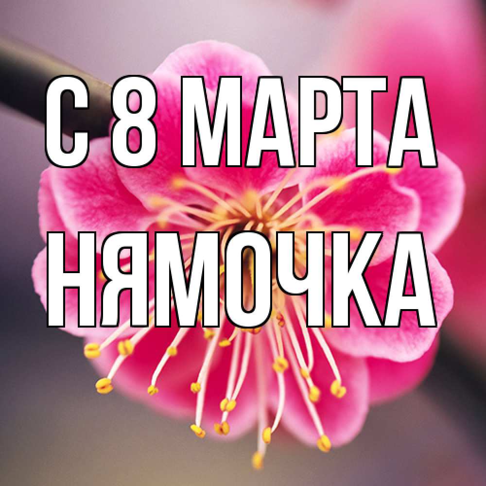 Открытка на каждый день с именем, нямочка C 8 МАРТА цветы Прикольная открытка с пожеланием онлайн скачать бесплатно 