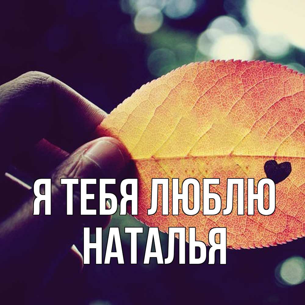 Открытка на каждый день с именем, Наталья Я тебя люблю держу лист Прикольная открытка с пожеланием онлайн скачать бесплатно 