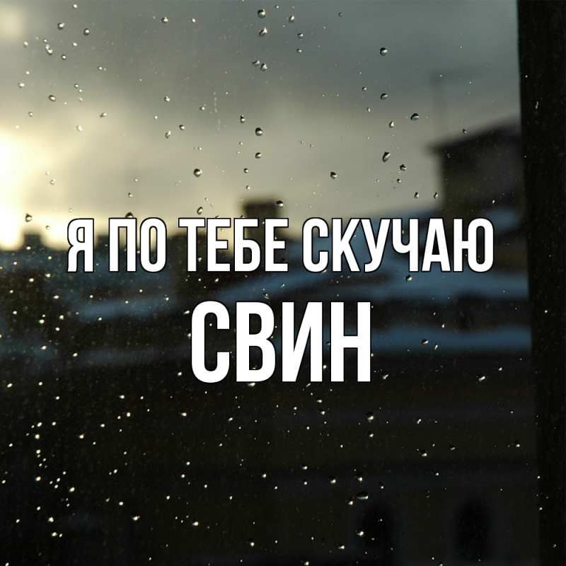 Картинка Я по тебе скучаю, Свин