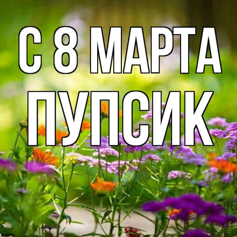 Картинка C 8 МАРТА, пупсик