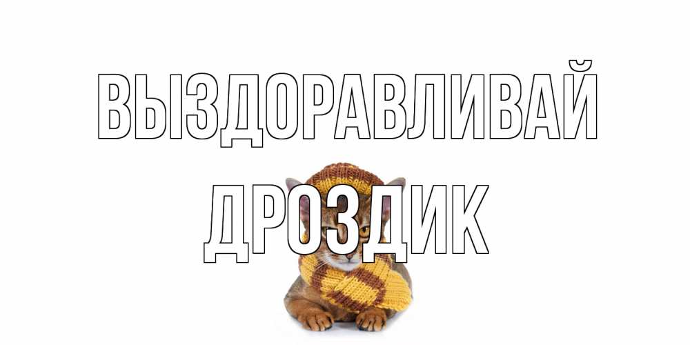 Открытка на каждый день с именем, Дроздик Выздоравливай родные не болейте Прикольная открытка с пожеланием онлайн скачать бесплатно 