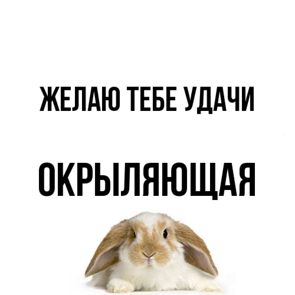 Открытка на каждый день с именем, окрыляющая Желаю тебе удачи открытки с произвольным текстом который можно вставить в открытку и создать ее самостоятельно бесплатно онлайн Прикольная открытка с пожеланием онлайн скачать бесплатно 