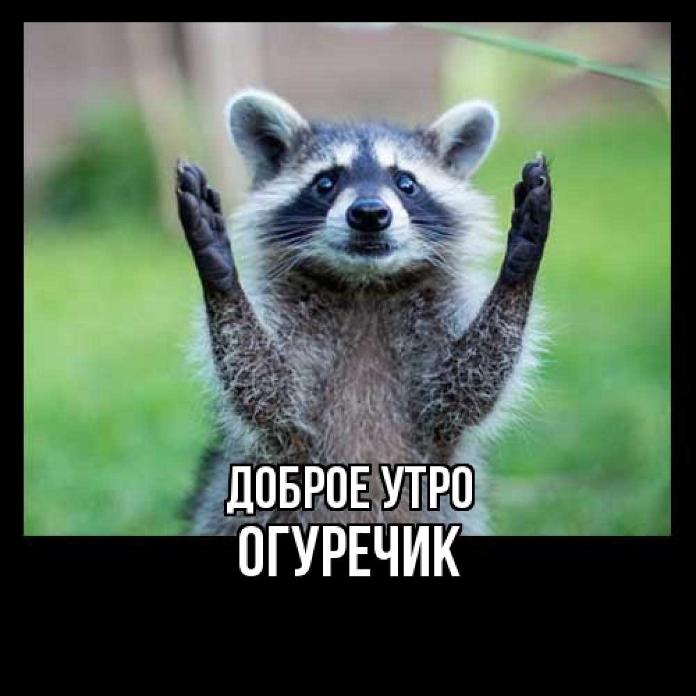Открытка на каждый день с именем, Огуречик Доброе утро хорошее настроение утречком Прикольная открытка с пожеланием онлайн скачать бесплатно 