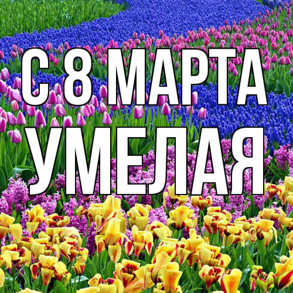 Открытка на каждый день с именем, Умелая C 8 МАРТА цветы Прикольная открытка с пожеланием онлайн скачать бесплатно 