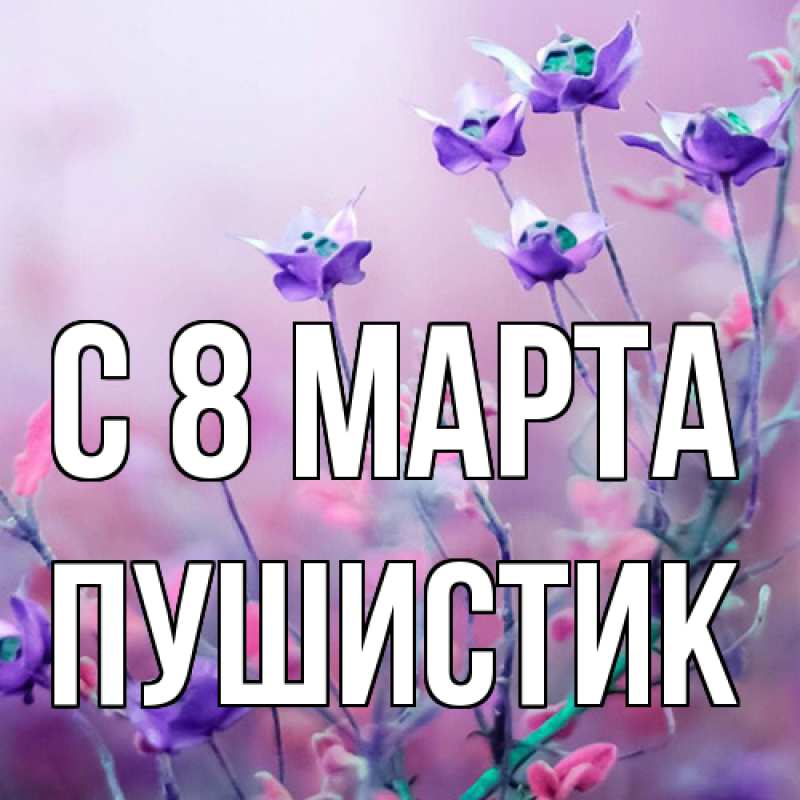 Картинка C 8 МАРТА, Пушистик