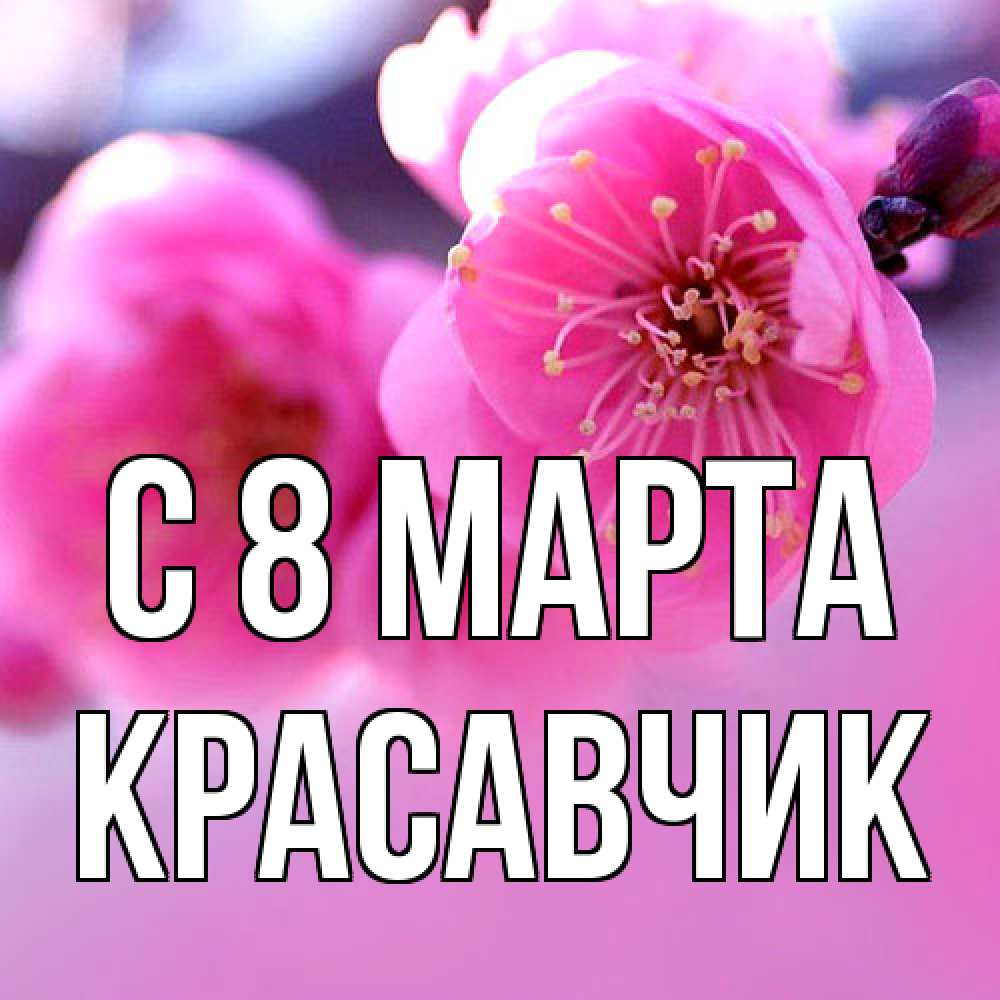 Открытка на каждый день с именем, Красавчик C 8 МАРТА международный женский день Прикольная открытка с пожеланием онлайн скачать бесплатно 