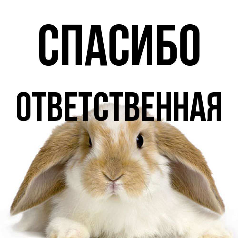 Открытка на каждый день с именем, ответственная Спасибо коричнево белый заяц Прикольная открытка с пожеланием онлайн скачать бесплатно 