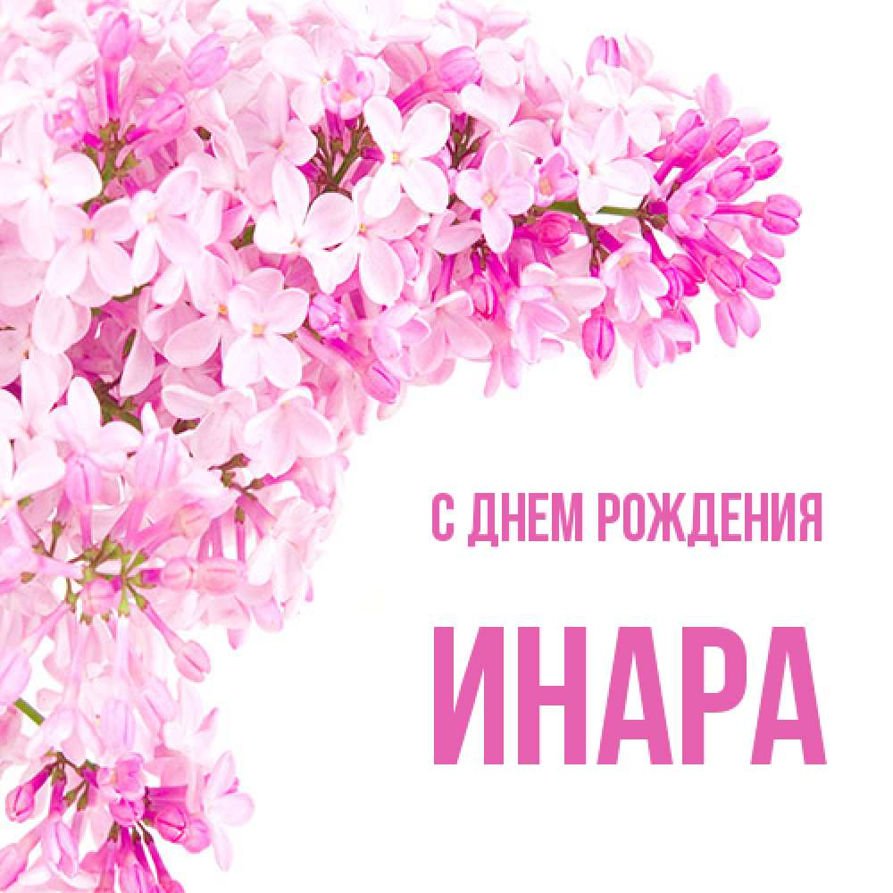 Открытка на каждый день с именем, Инара С днем рождения Сирень на белом фоне Прикольная открытка с пожеланием онлайн скачать бесплатно 