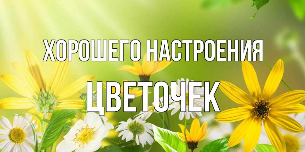 Открытка на каждый день с именем, Цветочек Хорошего настроения цветы Прикольная открытка с пожеланием онлайн скачать бесплатно 