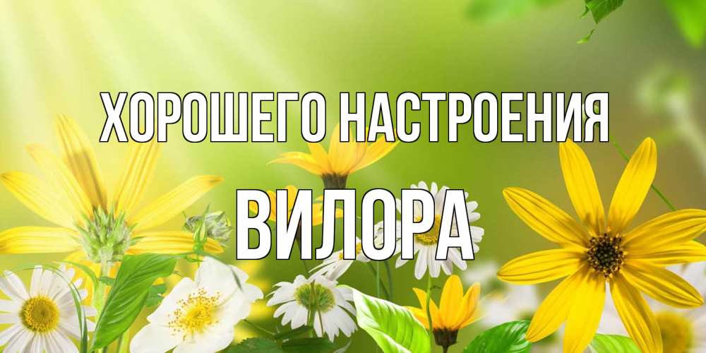 Открытка на каждый день с именем, Вилора Хорошего настроения цветы Прикольная открытка с пожеланием онлайн скачать бесплатно 