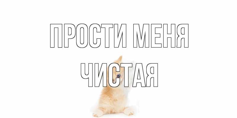 Картинка Прости меня, Чистая
