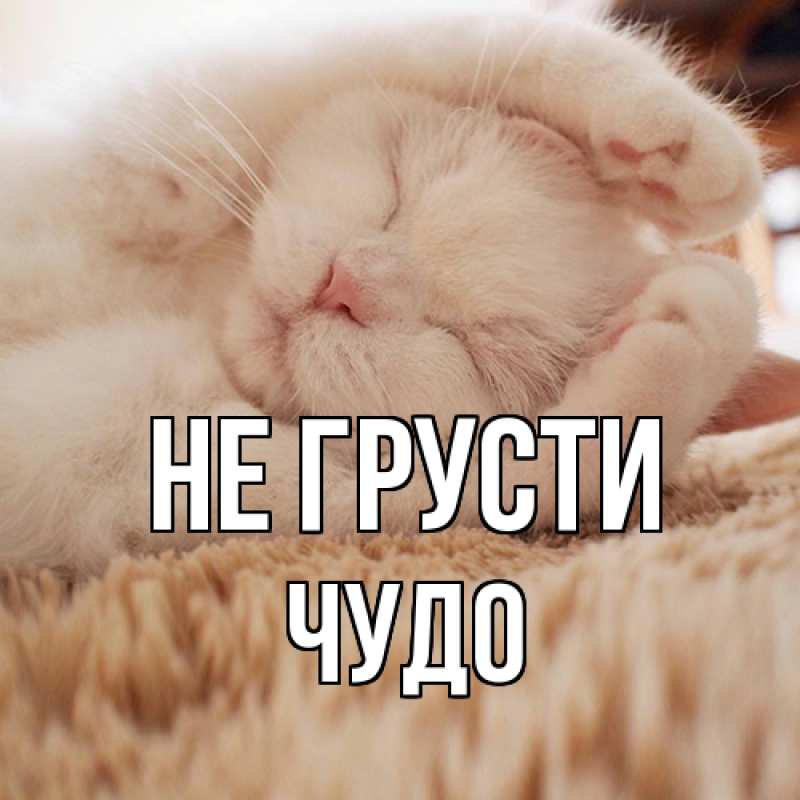 Картинка Не грусти, Чудо