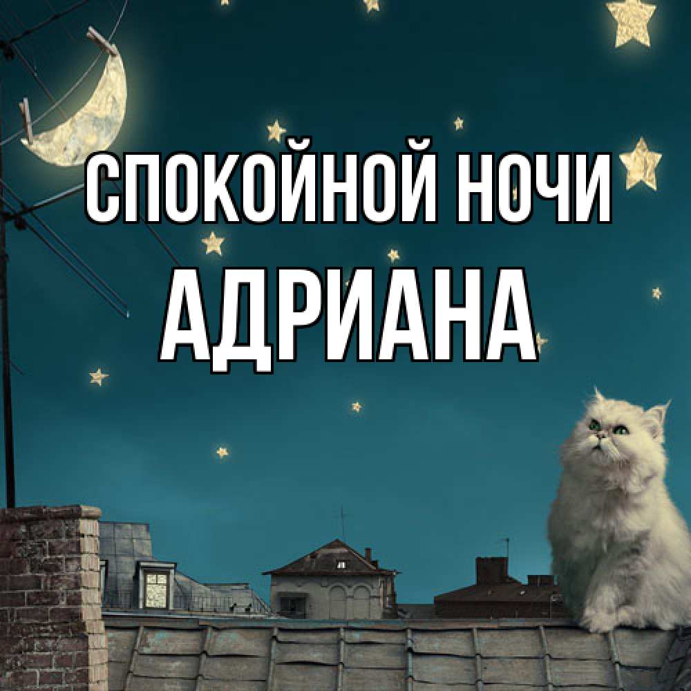 Открытка на каждый день с именем, Адриана Спокойной ночи белый кот сидит на крыше Прикольная открытка с пожеланием онлайн скачать бесплатно 