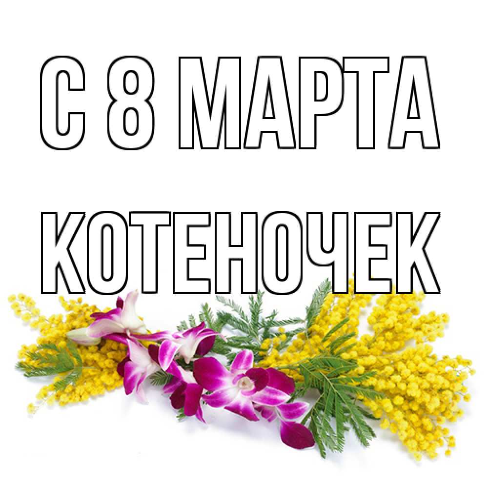 Открытка на каждый день с именем, Котеночек C 8 МАРТА открытка на международный женский день с цветами  1 Прикольная открытка с пожеланием онлайн скачать бесплатно 