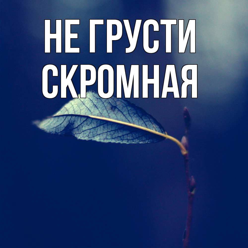 Открытка на каждый день с именем, скромная Не грусти растение Прикольная открытка с пожеланием онлайн скачать бесплатно 